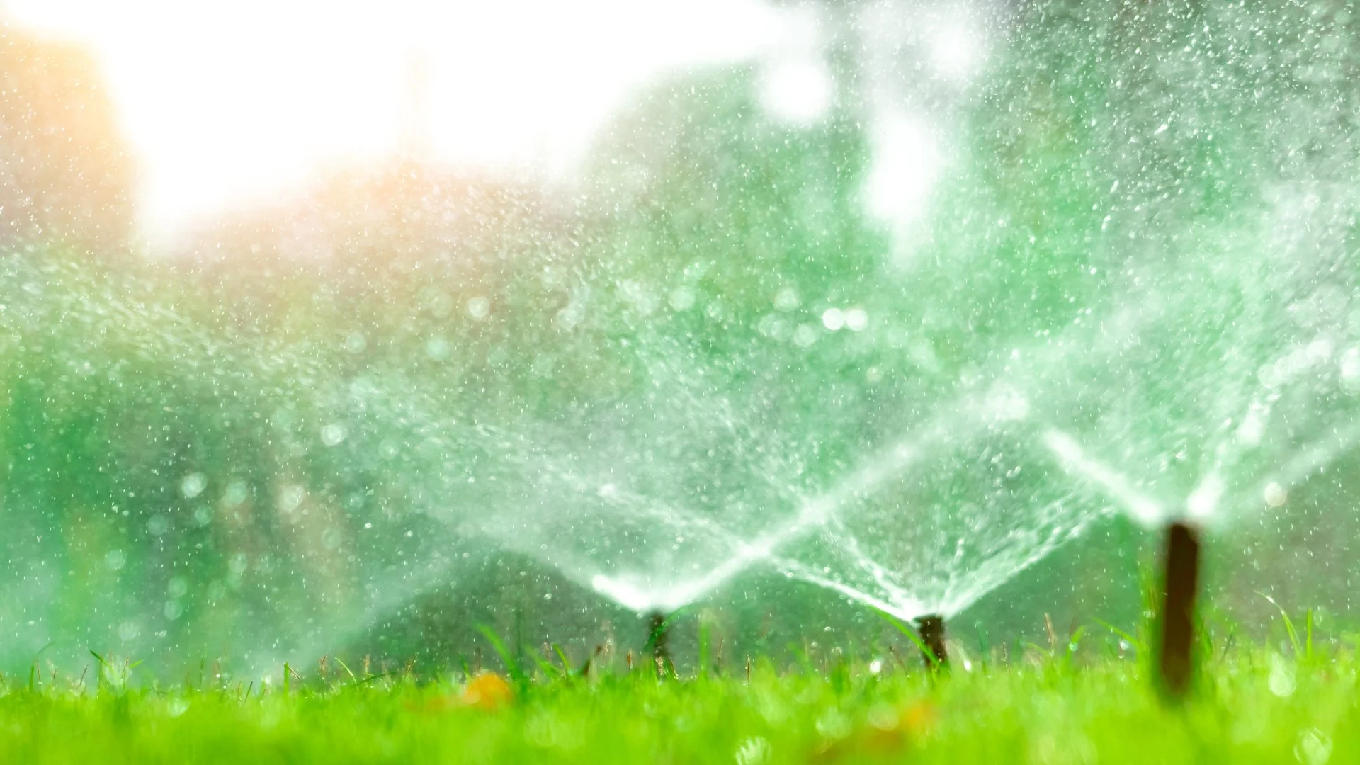 Smart Irrigation Systems: Are They Worth the Investment?