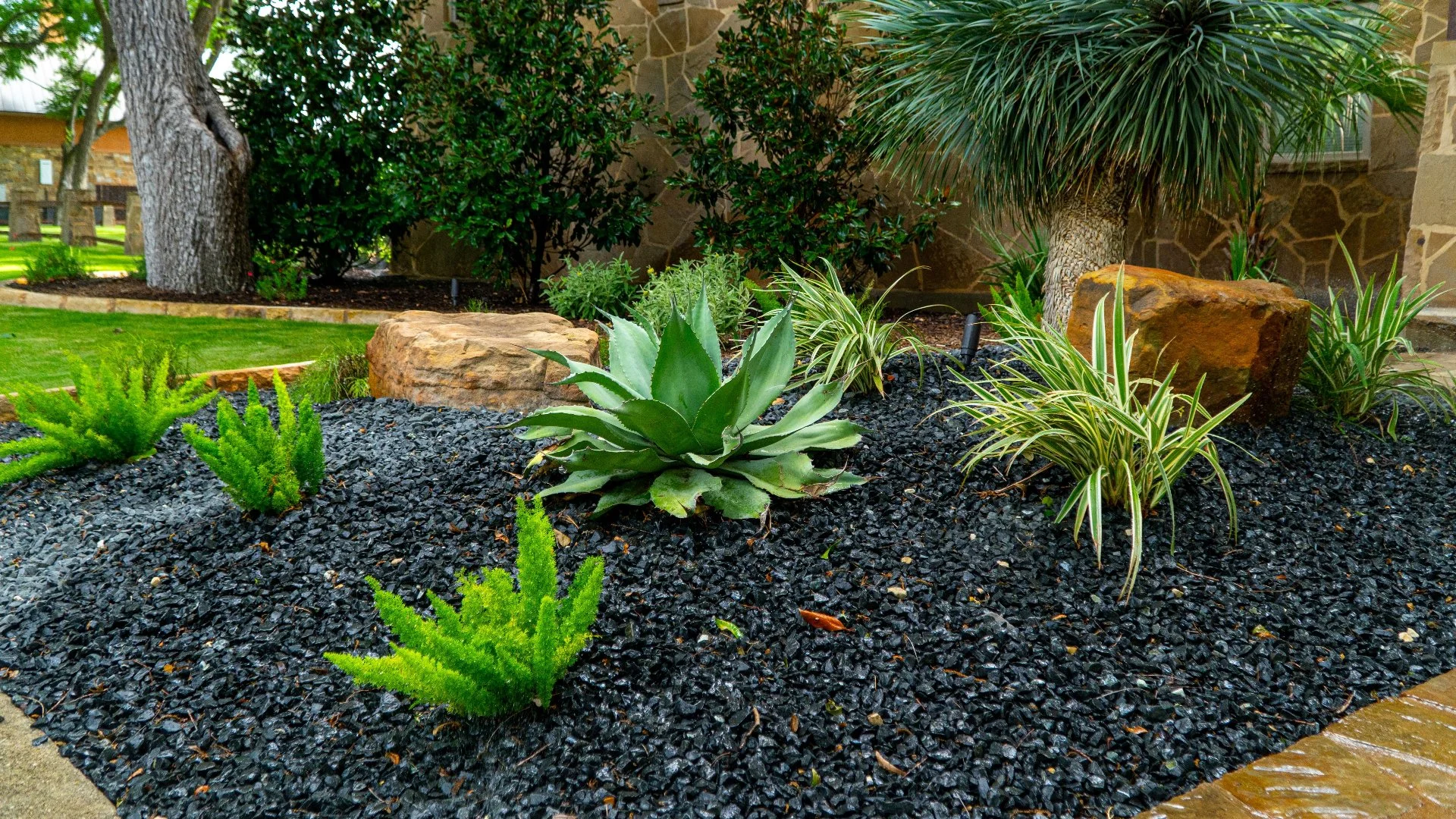Why Native Plants Are a Smart Landscaping Choice