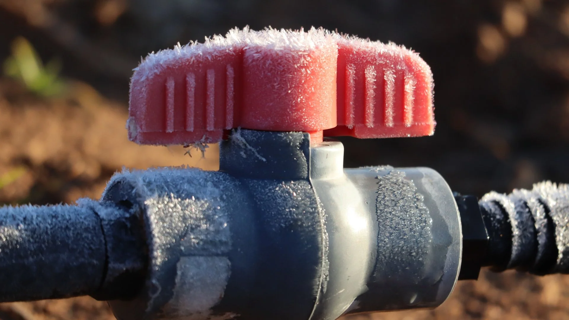 Do You Need to Winterize Your Irrigation System in Texas?