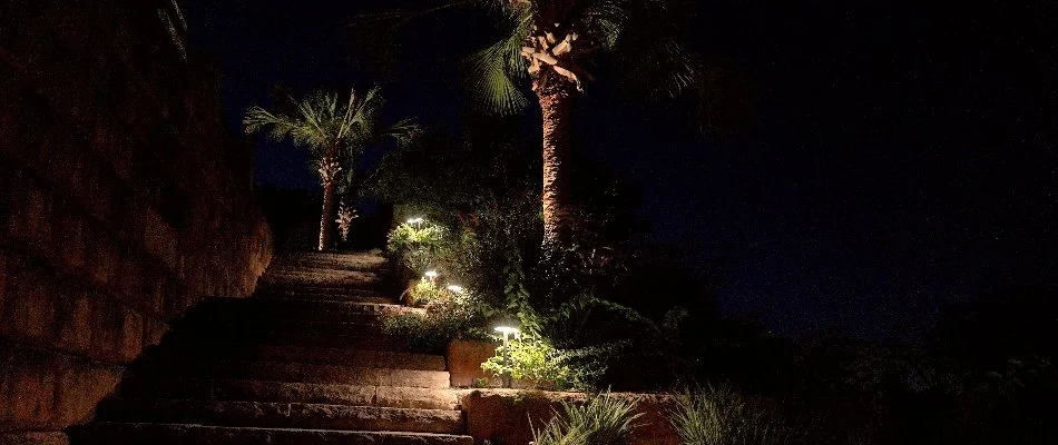 LED lights along outdoor steps and some trees in New Braunfels, TX.