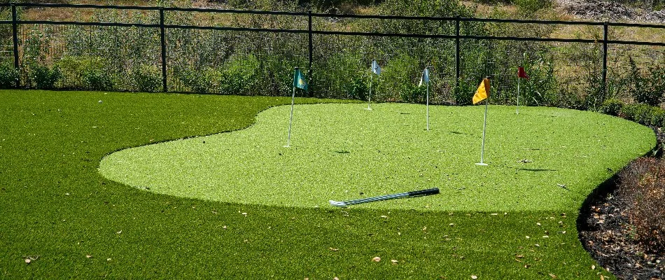 Putting green with golf flags in New Braunfels, TX.