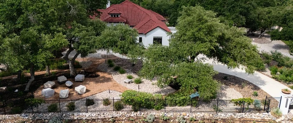 Shrubs that have been recently trimmed in New Braunfels, TX.