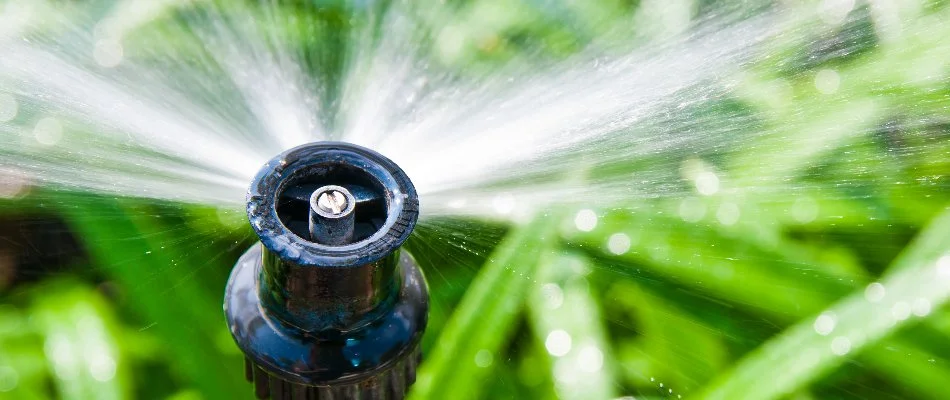 Close up of an irrigation sprinkler head in New Braunfels, TX.