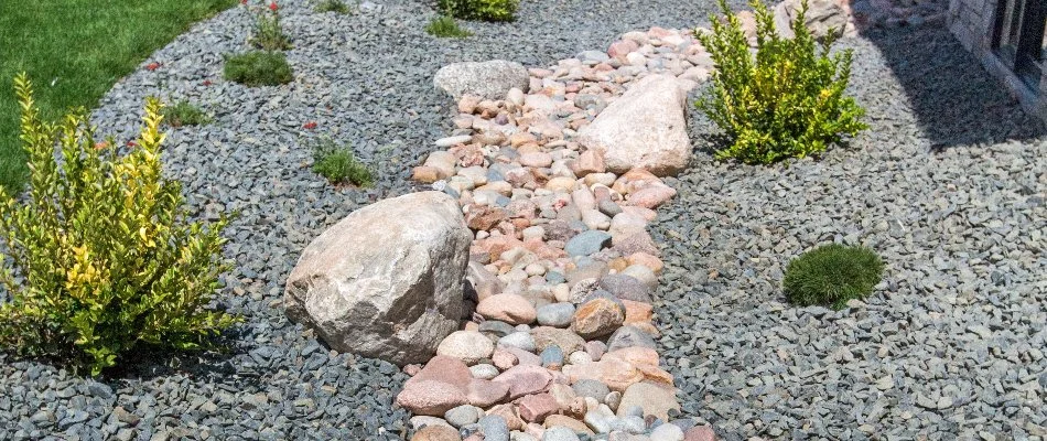 A rock landscape bed in New Braunfels, TX, with plants and purple flowers.