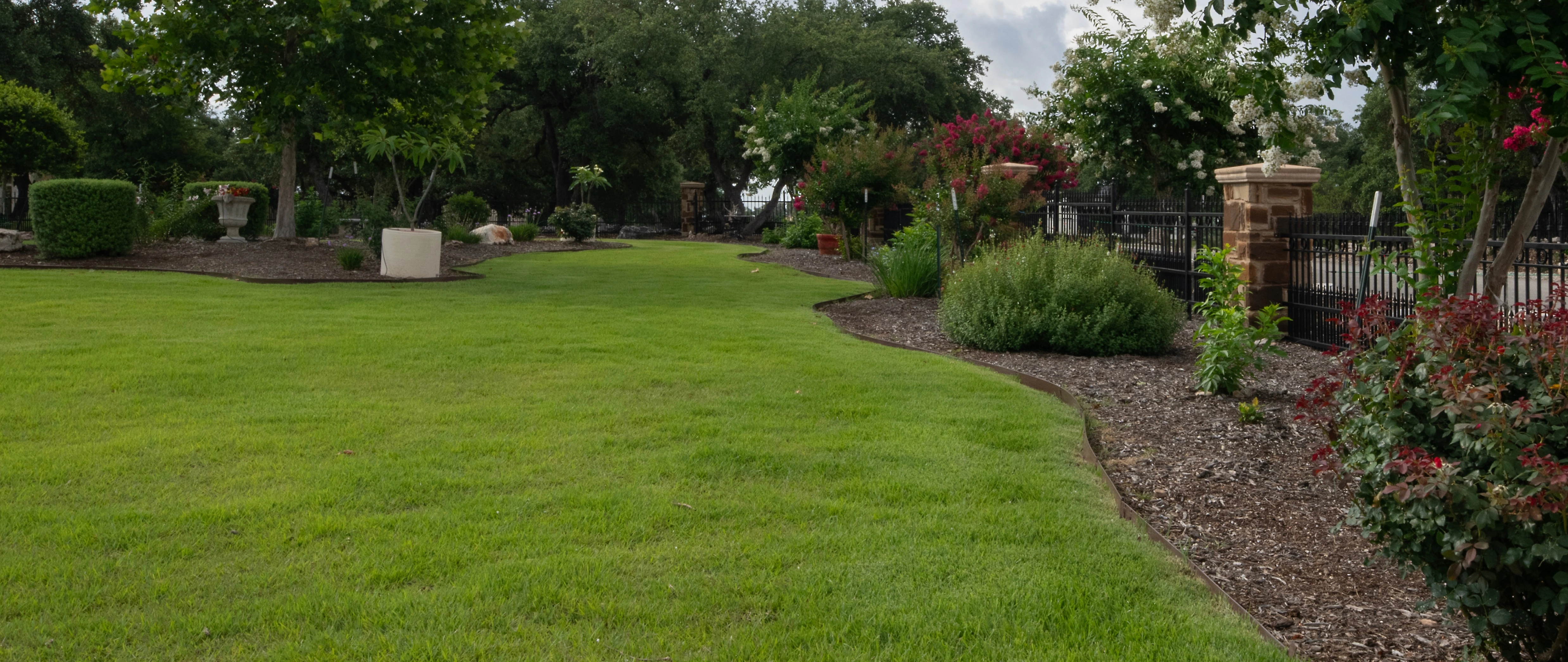 Mowing patterns on grass in New Braunfels, TX.