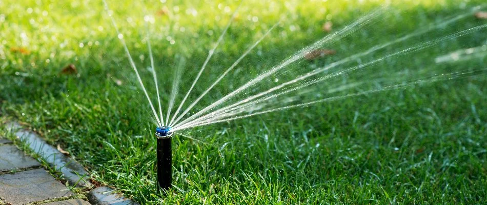 Irrigation sprinkler head on a lawn in Hunter, TX.