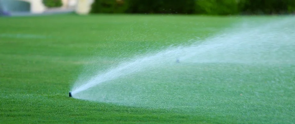 Irrigation sprinkler head watering a lawn in New Braunfels, TX.