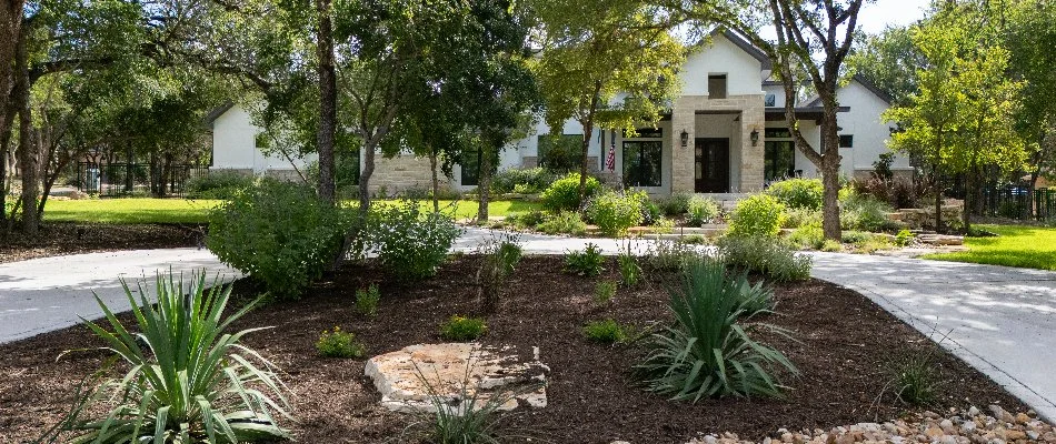 A rock landscape bed in New Braunfels, TX, with plants and purple flowers.