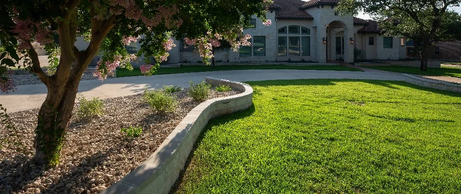 A rock landscape bed in New Braunfels, TX, with plants and purple flowers.