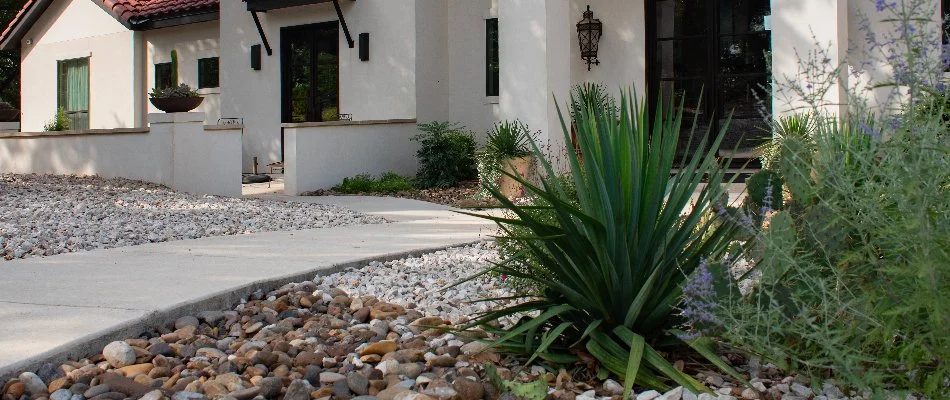 A rock landscape bed in New Braunfels, TX, with plants and purple flowers.