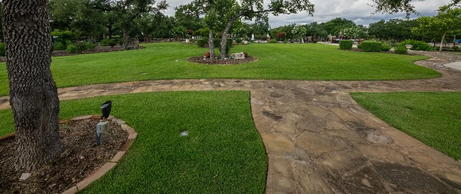 Mowed lawn with long walkway on a property in New Braunfels, TX.