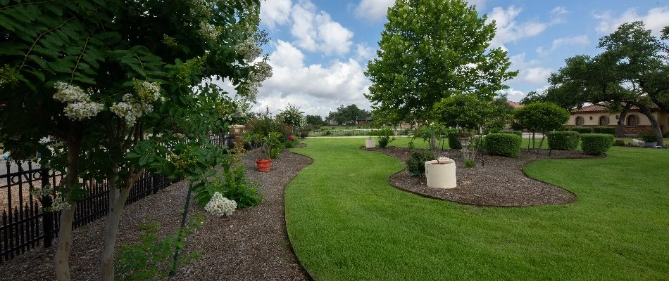A mulch landscape bed in New Braunfels, TX, with purple flowers.