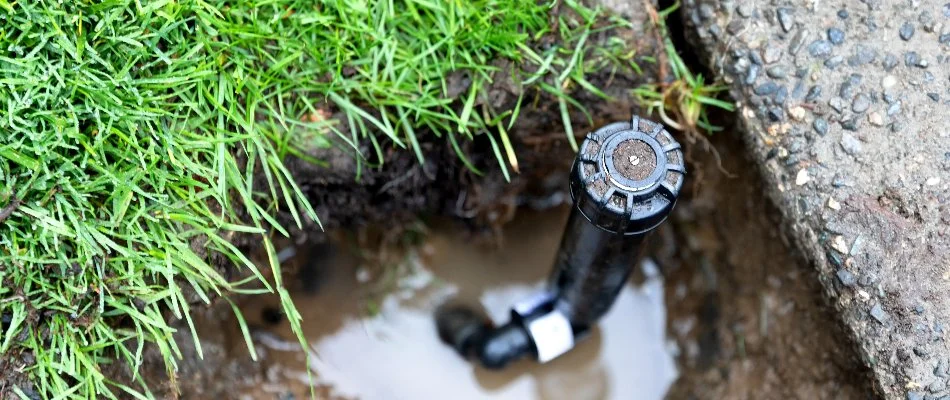 Puddle around a broken sprinkler head in New Braunfels, TX.