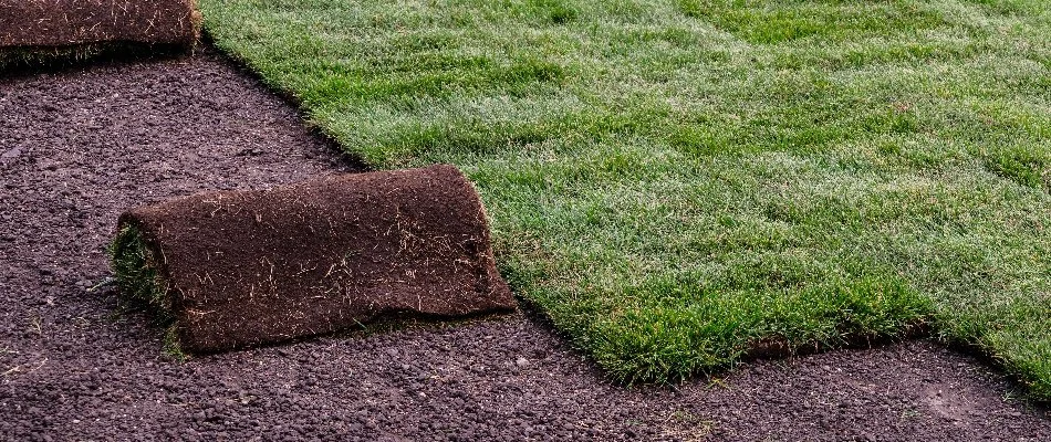 Roll of sod during installation in New Braunfels, TX.