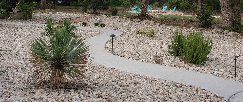 Walkway in New Braunfels, TX, along xeriscaping.