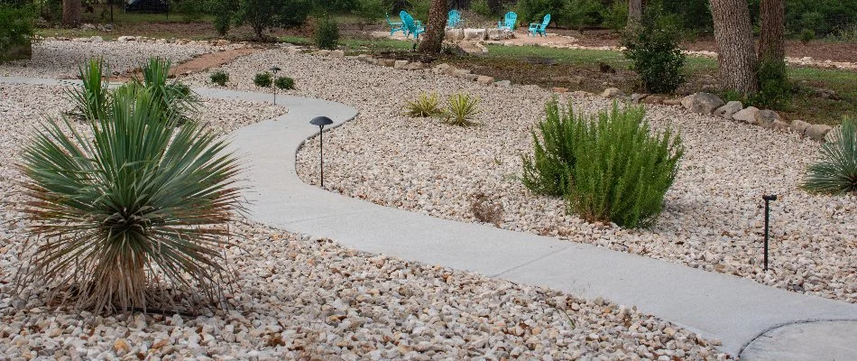 Xeriscape in New Braunfels, TX, with concrete walkway.