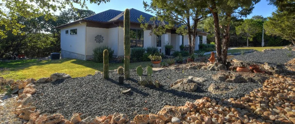 Xeriscape in Fischer, TX, with drought-tolerant plants and rocks.