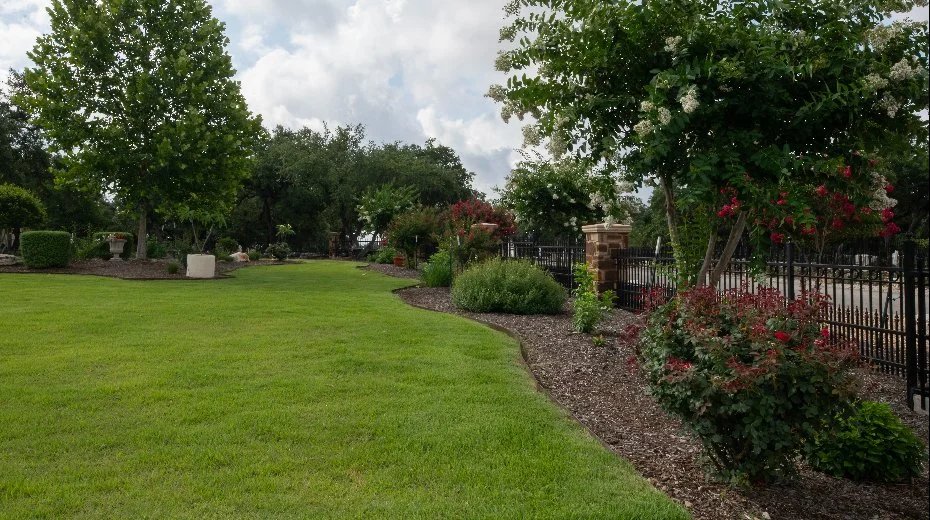 Black mulch and green shrubs in landscape bed in Spring Branch, TX.