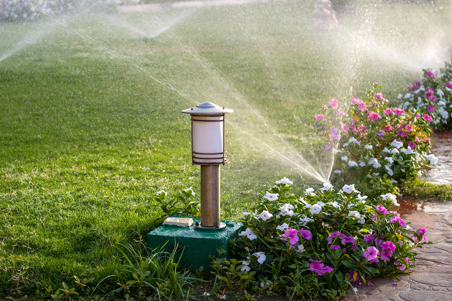 Irrigation & Lighting